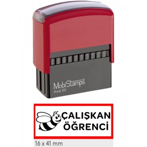Çalışkan Öğrenci Öğretmen Kaşesi