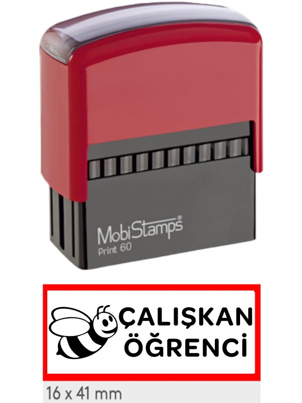Çalışkan Öğrenci Öğretmen Kaşesi…