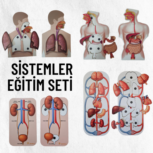 Sistemler Ahşap Eğitim Seti…