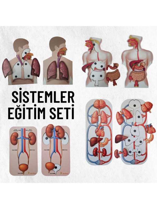 Sistemler Ahşap Eğitim Seti…