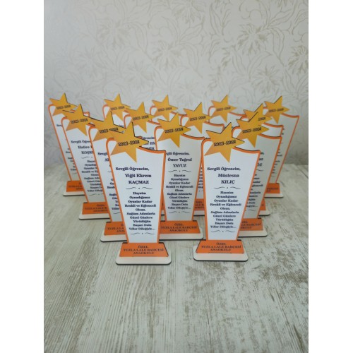 Yıldızlı Baskılı Plaket